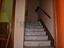 Immagine 7