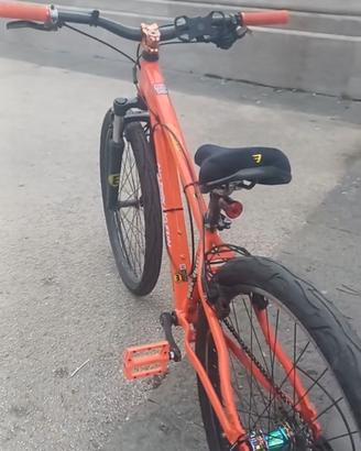 Mtb modificata da whellie