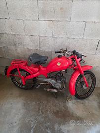motom 48