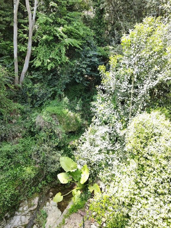 Apartment in Rapallo, San Michele di Pagana - Vista 3