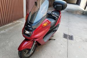 majesty 250 