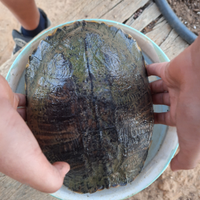 Acquario 300 litri.misure : 150cm x 45 cm x 45 h