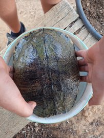 Acquario 300 litri.misure : 150cm x 45 cm x 45 h