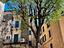 Immagine 24