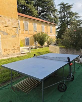 tavolo da Ping-pong 