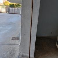 Bilanciere in ferro massiccio senza pesi