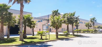 Catanzaro, Capannoni industriali