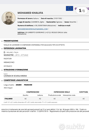 Intonaco restaura pittore