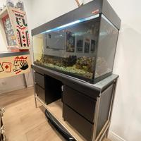 acquario wawe 300l completo di tutto