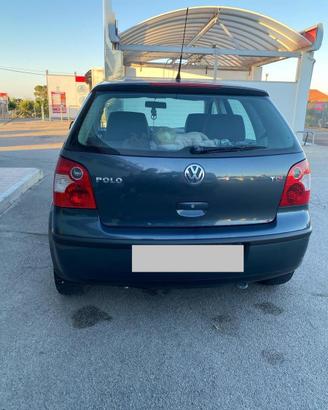 Auto polo