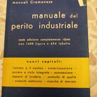 Manuale del perito industriale 