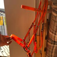 testiera Endurance podium 