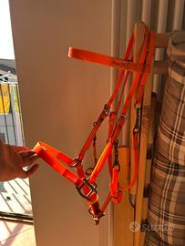 testiera Endurance podium 