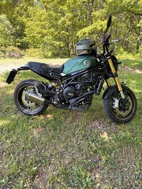 Benelli Leoncino 800