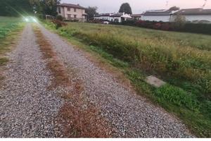 Terreno edificabile- Comune di CISLAGO