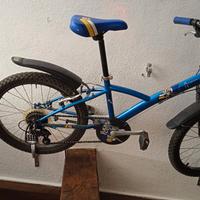 Bicicletta 