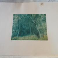 Stampe ORIGINALI del Maestro UMBERTO LILLONI