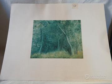 Stampe ORIGINALI del Maestro UMBERTO LILLONI