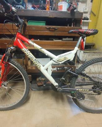mtb frejus