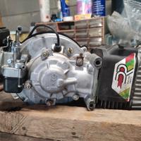 Motore completo piaggio ciao 