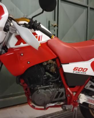 XT 600