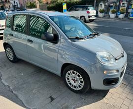 Fiat Panda 1.0 GPL FireFly S&S Hybrid GARANTITA 12