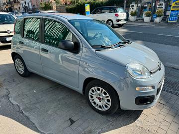 Fiat Panda 1.0 GPL FireFly S&S Hybrid GARANTITA 12