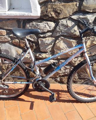 Mountain bike uomo