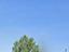 Immagine 14