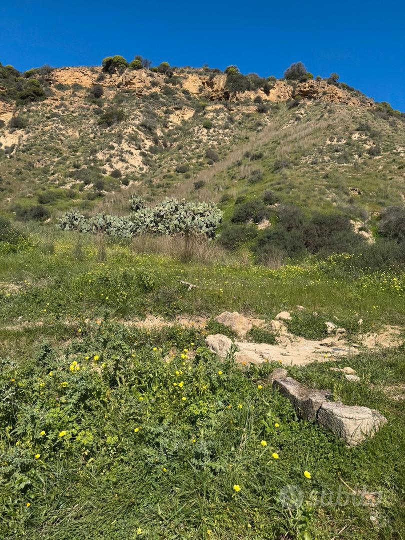 Terreno in contrada Feudo Nobile a Gela (CL) - Vista 6