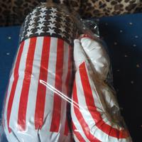 Guantoni e sacco boxe USA