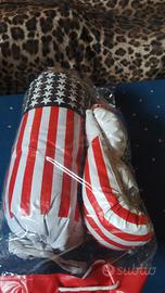 Guantoni e sacco boxe USA