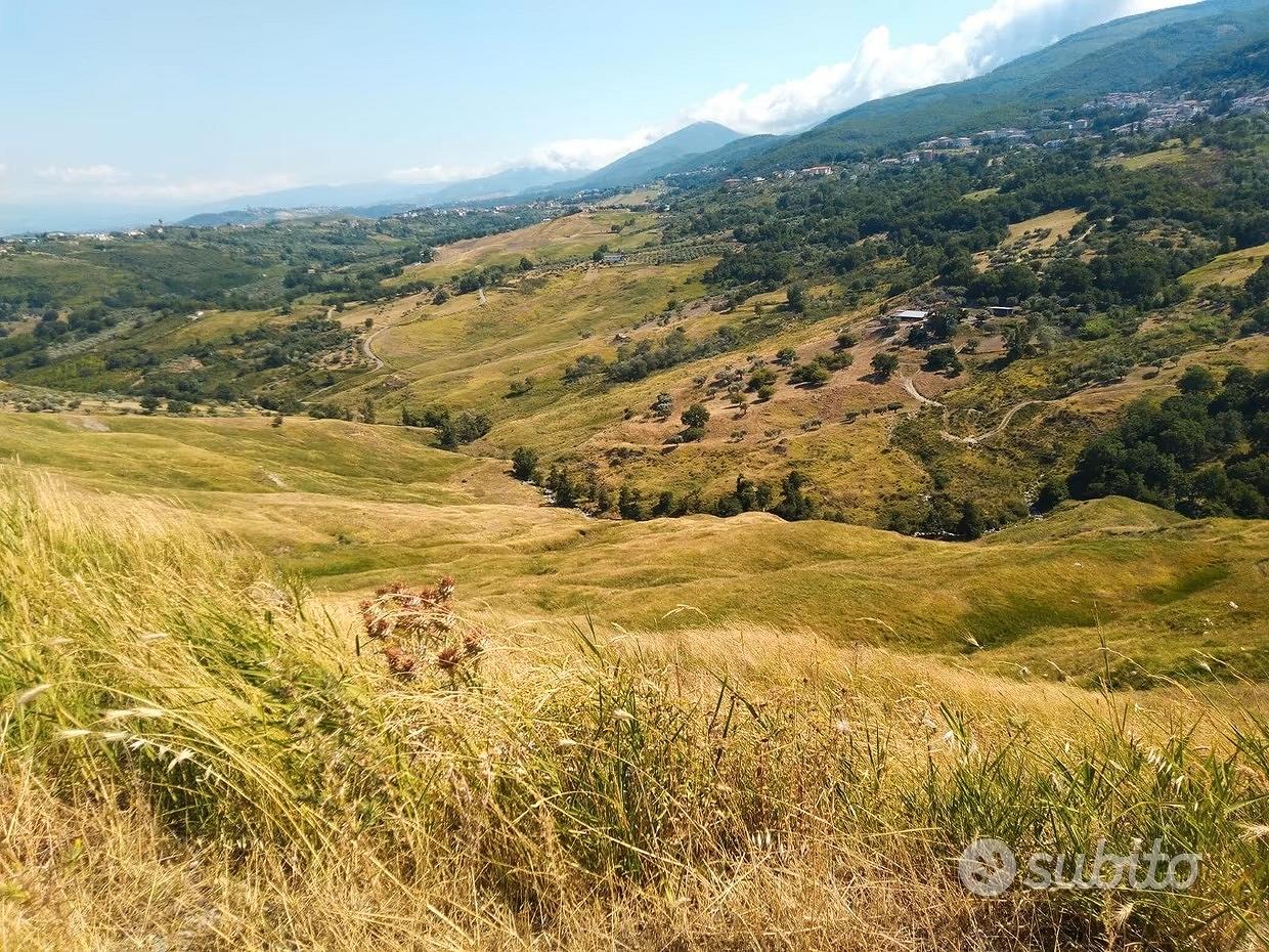 Terreno agricolo 20 ettari - Vista 3