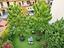 Immagine 28