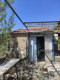 Piccolo rustico e terreno agricolo Toro