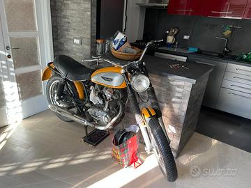 Ducati scrambler 250