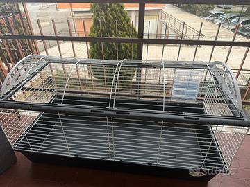 Gabbia animali