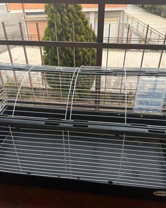 Gabbia animali