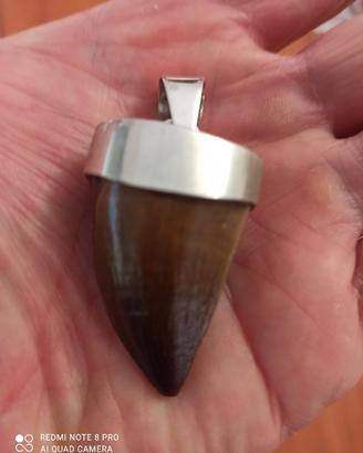 pendente argento 925 dente fossile mosasauro