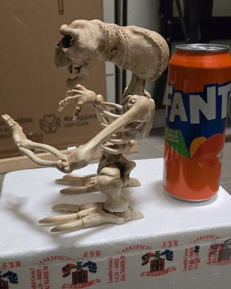 scheletro E.T.