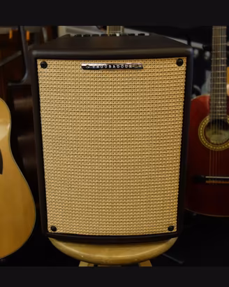 Amplificatore IBANEZ T80