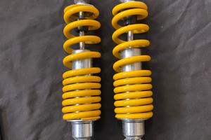 Ammortizzatori LBC 441/447 LBN320 900 kg