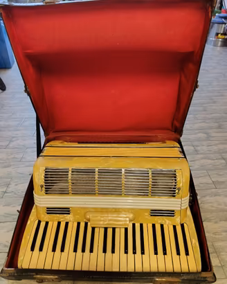 fisarmonica
