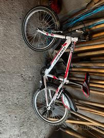 Biciclette per ragazzi