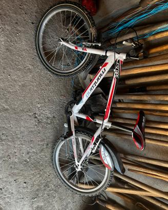 Biciclette per ragazzi