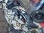 Immagine 3