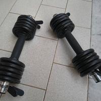 Manubri e pesi 2 x 6Kg