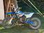 Immagine 2
