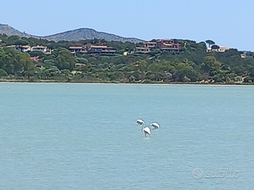 Appartamento al mare
