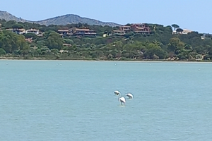 Appartamento al mare